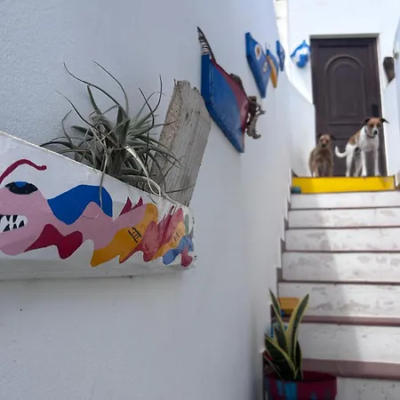 La Buganvilla House * 阿雷西费